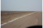 Property photo 5 - Kansas Land Auction - 960 Acres - 7 Farms in 3 Counties